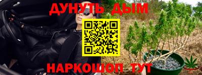 молекула духа Краснодар