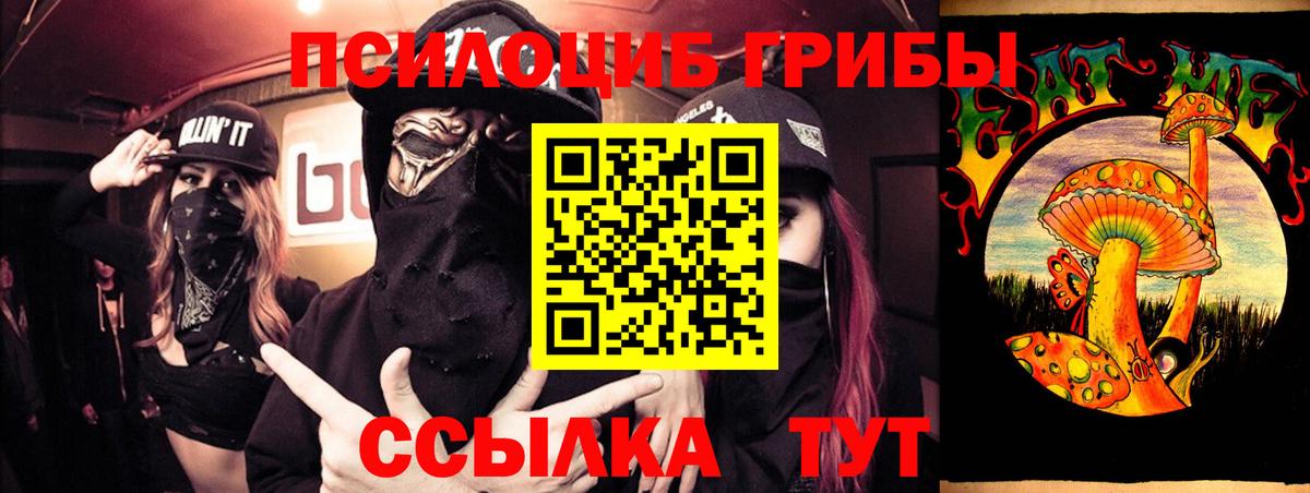 Железноводск  Галлюциногенные грибы прущие грибы  Вход с VPN 