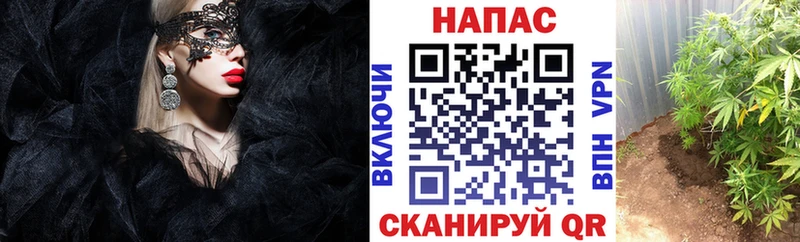 где купить наркотик  Железноводск  Бошки марихуана THC 21% 